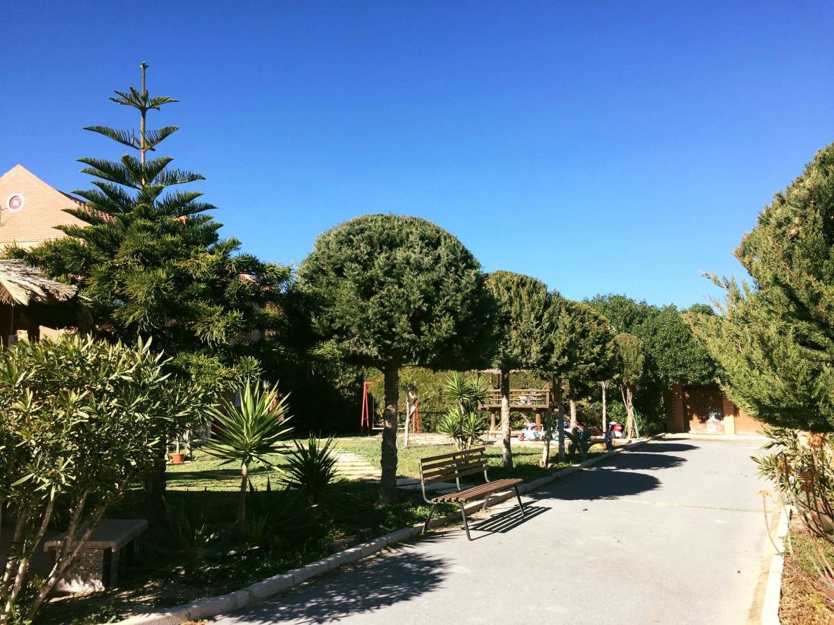 Jardin - Compraventa Vivienda Rural Alicante Jardin - Compraventa Vivienda Rural Alicante